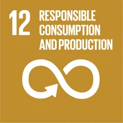 聯合國永續發展目標 SDG 12